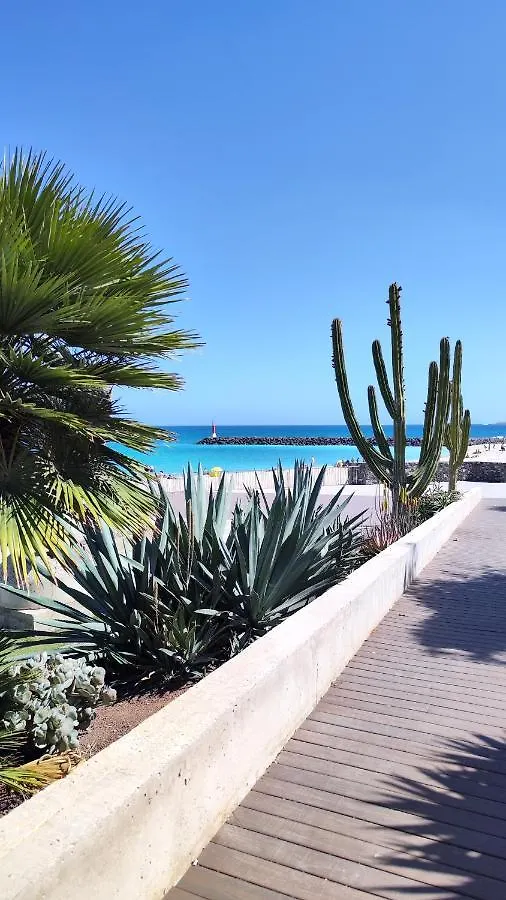 Puipana Apartment, Fuerteventura Puerto del Rosario  Apartament Puerto del Rosario (Fuerteventura)