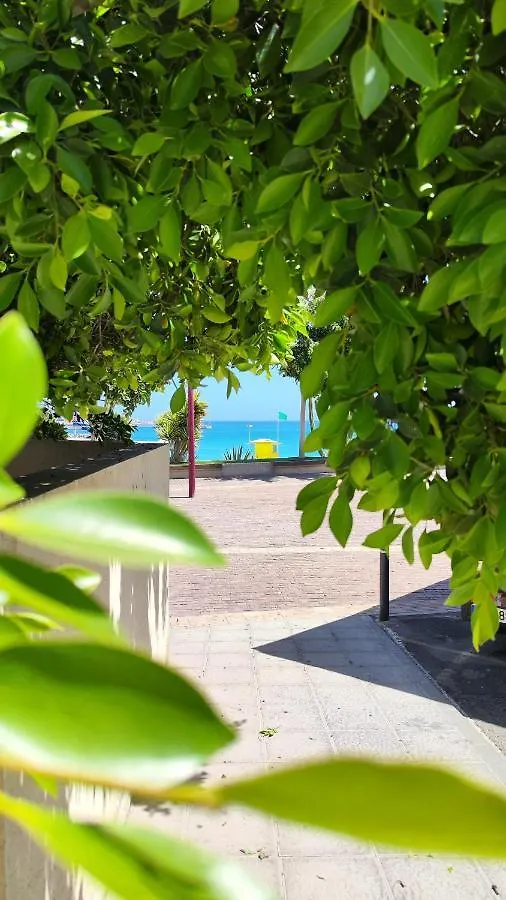 Apartament Puipana Apartment, Fuerteventura Puerto del Rosario  Hiszpania